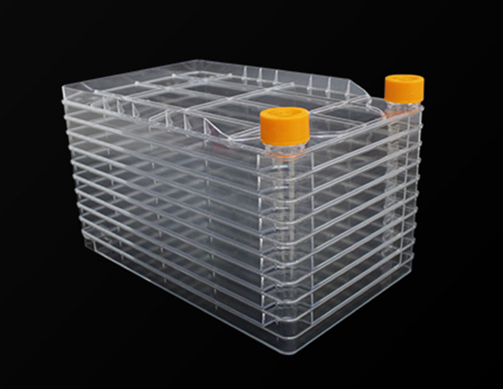 1670914163236631.jpg 15.jpg